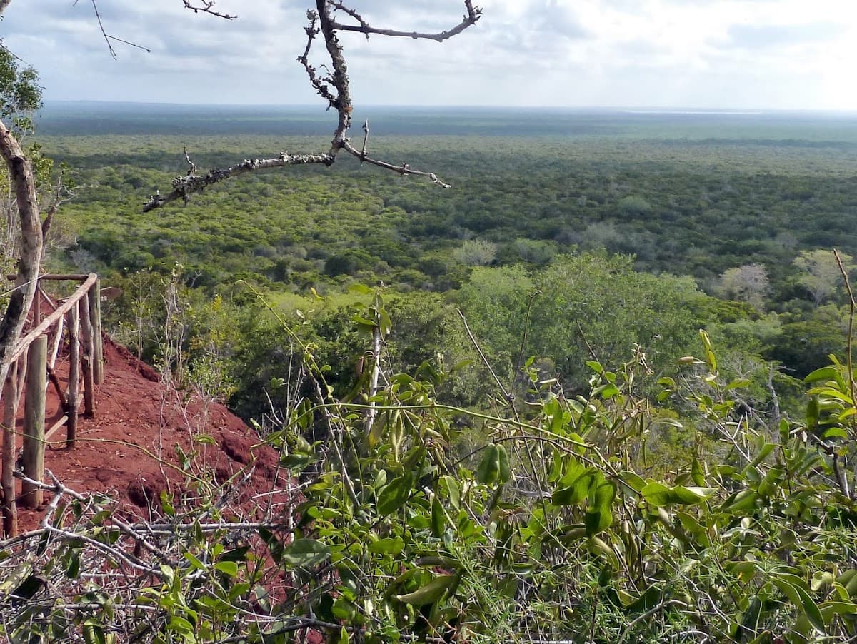 Arabuko Sokoke Forest Reserve