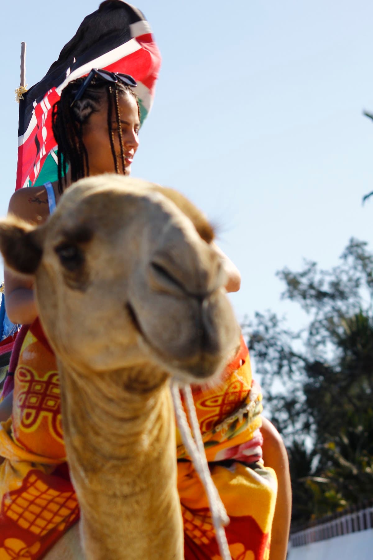Beach camel rides (Nyali / Bamburi)