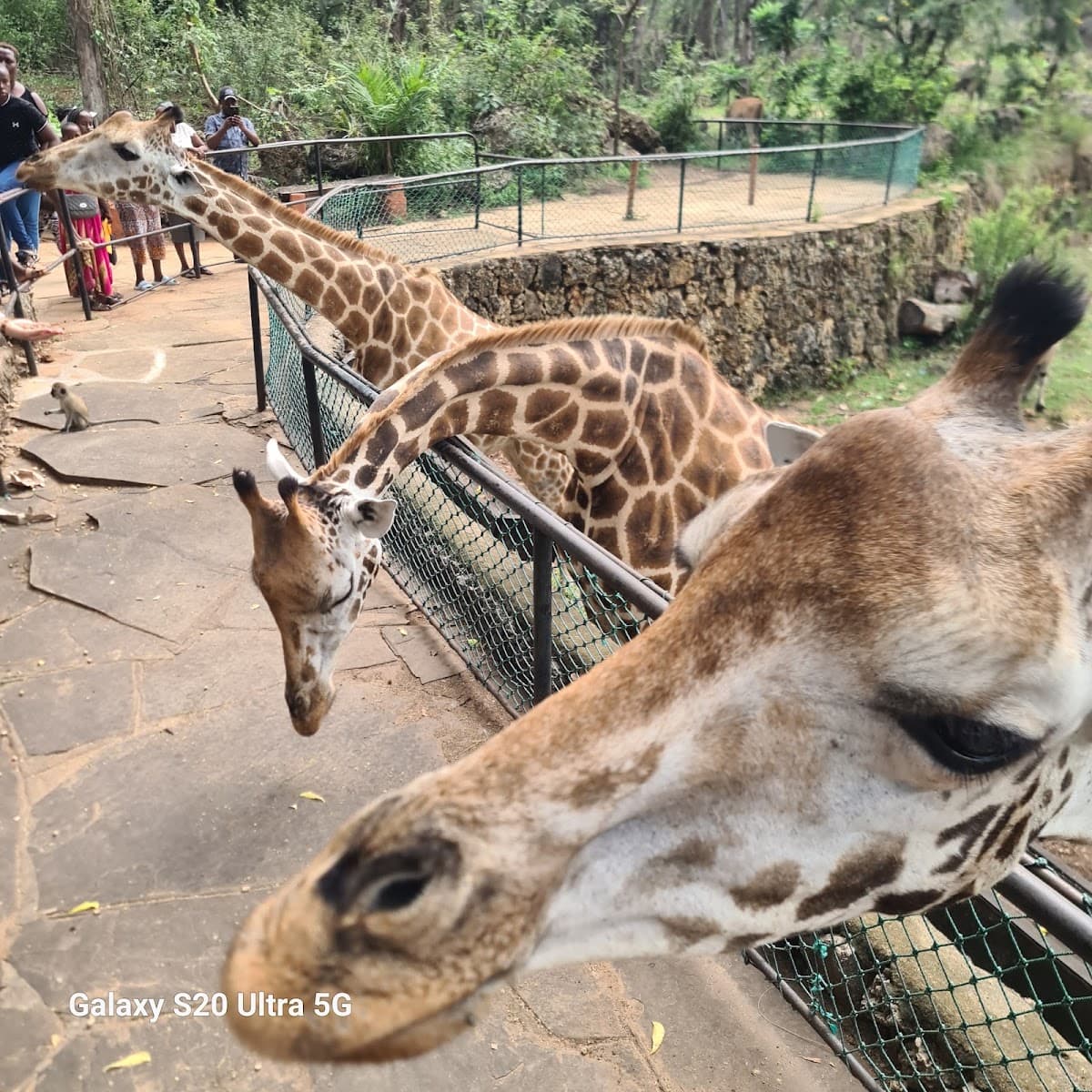 Haller Park (Bamburi)